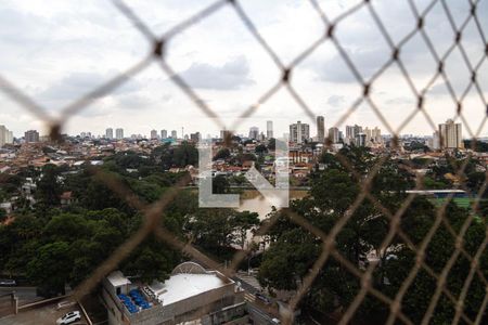 Apartamento para alugar com 114m², 3 quartos e 2 vagasVista do Quarto 2