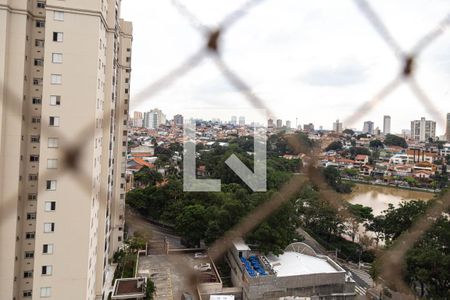 Apartamento para alugar com 114m², 3 quartos e 2 vagasVista do Quarto 1