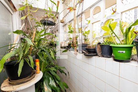 Apartamento à venda com 192m², 3 quartos e sem vaga Apartamento à venda com 192m², 3 quartos e sem vagaÁrea de Serviço