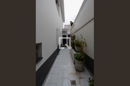 Casa para alugar com 206m², 3 quartos e 2 vagasQuintal - lateral