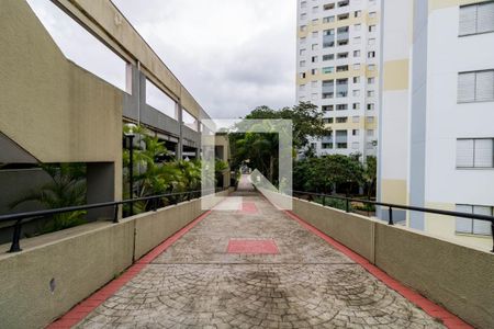 Apartamento para alugar com 55m², 2 quartos e 1 vagaÁrea comum