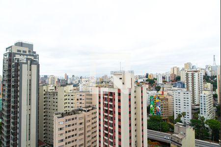 Studio à venda com 25m², 1 quarto e sem vagaÁrea comum - Vista do Solário