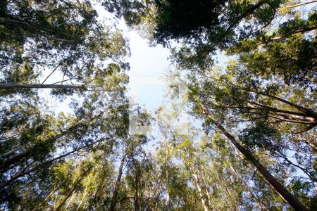 Apartamento à venda com 68m², 3 quartos e 2 vagasÁrea comum - Bosque