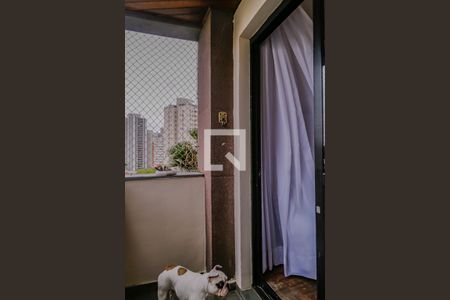 Apartamento à venda com 97m², 3 quartos e 2 vagas Apartamento à venda com 97m², 3 quartos e 2 vagasVaranda