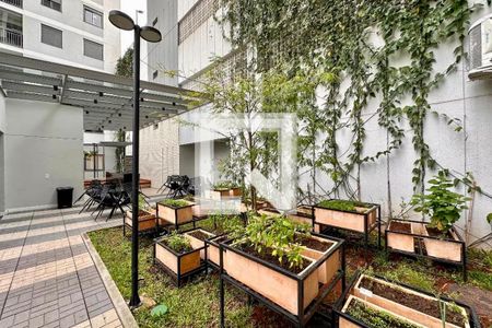 Apartamento à venda com 72m², 3 quartos e 1 vagaHortinha