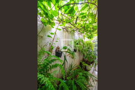 Casa para alugar com 320m², 3 quartos e 1 vagaJardim de Inverno