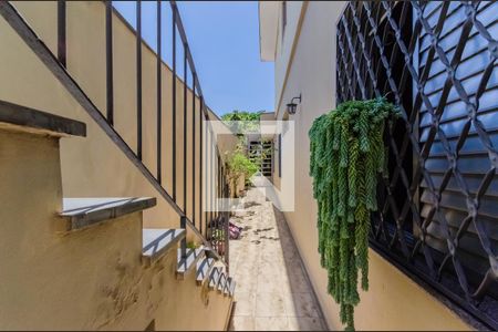 Casa à venda com 360m², 3 quartos e 3 vagasQuintal