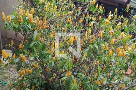 Casa à venda com 583m², 4 quartos e 2 vagas