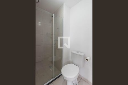 Banheiro de apartamento para alugar com 2 quartos, 46m² em São Cristóvão, Rio de Janeiro