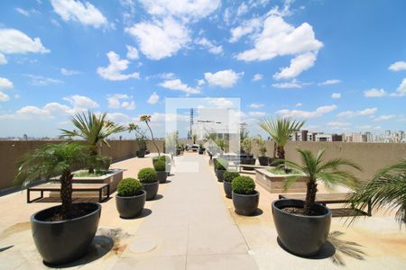 Apartamento para alugar com 35m², 2 quartos e sem vagaÁrea Comum - Terraço