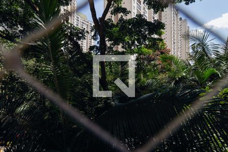 Vista da Suíte de apartamento à venda com 3 quartos, 62m² em Vila Andrade, São Paulo