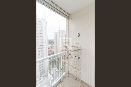 Sala - Varanda de apartamento para alugar com 2 quartos, 56m² em Jardim Modelo, São Paulo