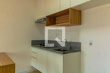 Apartamento para alugar com 29m², 1 quarto e sem vagaCozinha