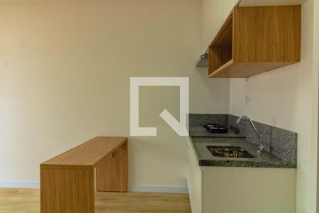 Apartamento para alugar com 29m², 1 quarto e sem vagaCozinha