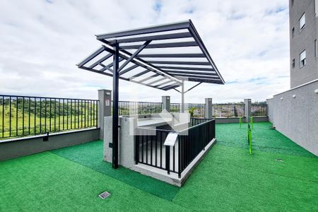 Apartamento para alugar com 65m², 3 quartos e 2 vagas Apartamento para alugar com 65m², 3 quartos e 2 vagasÁrea comum - Espaço Pet