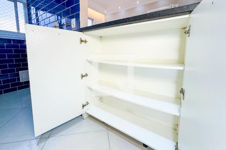 Cozinha - Armários de apartamento para alugar com 1 quarto, 33m² em Cambuci, São Paulo