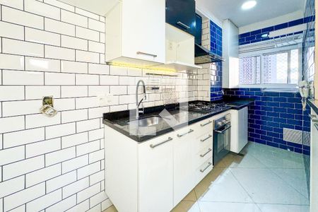 Cozinha de apartamento para alugar com 1 quarto, 33m² em Cambuci, São Paulo