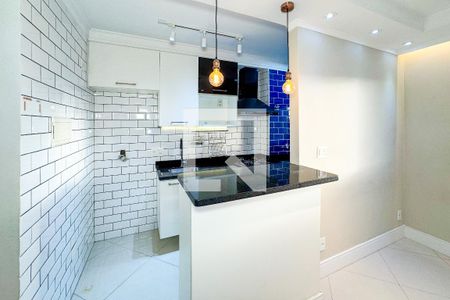 Cozinha de apartamento para alugar com 1 quarto, 33m² em Cambuci, São Paulo