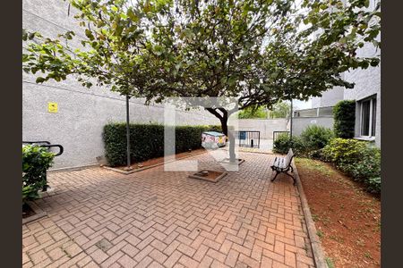 Área comum de apartamento para alugar com 2 quartos, 50m² em Vila Metalúrgica, Santo André