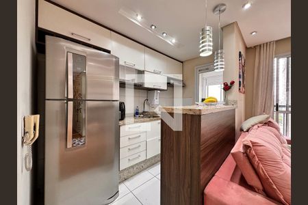 Cozinha de apartamento para alugar com 2 quartos, 50m² em Vila Metalúrgica, Santo André