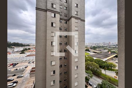 Apartamento para alugar com 50m², 2 quartos e 1 vaga Apartamento para alugar com 50m², 2 quartos e 1 vagaVista do Quarto 1