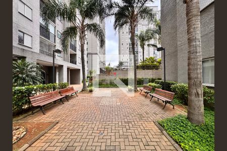 Área comum de apartamento para alugar com 2 quartos, 50m² em Vila Metalúrgica, Santo André