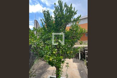 Casa à venda com 260m², 3 quartos e 1 vaga Casa à venda com 260m², 3 quartos e 1 vagaArea externa