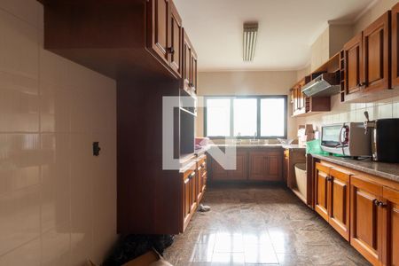 Apartamento à venda com 299m², 6 quartos e 4 vagas Apartamento à venda com 299m², 6 quartos e 4 vagasCozinha