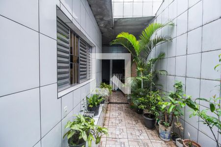 Casa para alugar com 100m², 2 quartos e 1 vaga Casa para alugar com 100m², 2 quartos e 1 vagaQuintal