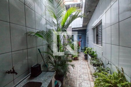 Casa para alugar com 100m², 2 quartos e 1 vaga Casa para alugar com 100m², 2 quartos e 1 vagaQuintal