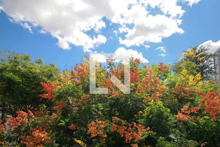 Apartamento à venda com 84m², 2 quartos e 2 vagasVista da Suíte 2