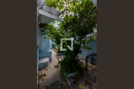Casa para alugar com 201m², 3 quartos e 1 vagaQuintal 