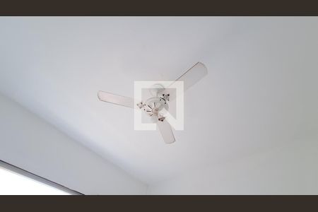 Sala/Quarto de kitnet/studio para alugar com 1 quarto, 24m² em Cidade Ocian, Praia Grande