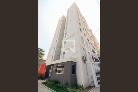 Fachada de apartamento para alugar com 2 quartos, 39m² em Vila Carrão, São Paulo