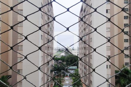 Apartamento para alugar com 68m², 3 quartos e 1 vagaQuarto 3 - Vista