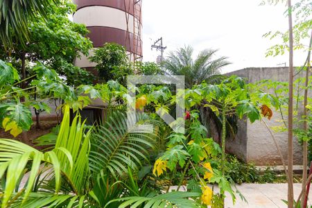 Apartamento para alugar com 56m², 2 quartos e 1 vagaVista do Quarto 2