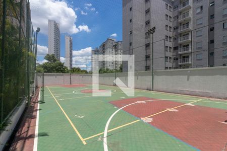 Apartamento à venda com 466m², 5 quartos e 6 vagasQuadra Esportiva