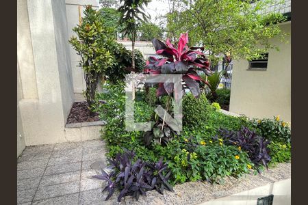 Apartamento para alugar com 35m², 1 quarto e sem vagaÁrea comum