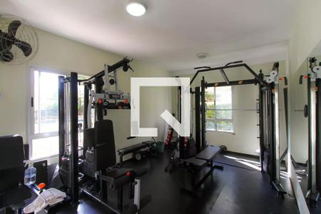 Apartamento para alugar com 50m², 2 quartos e 1 vagaÁrea comum - Academia