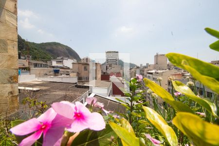 Apartamento à venda com 325m², 8 quartos e 2 vagasVista da Varanda da Sala 2