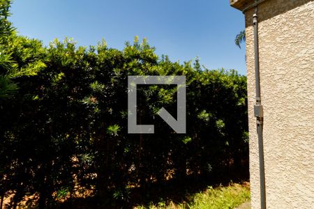 Apartamento para alugar com 48m², 2 quartos e sem vagaQuintal