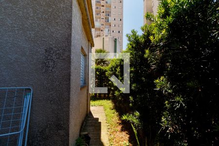 Apartamento para alugar com 48m², 2 quartos e sem vagaQuintal