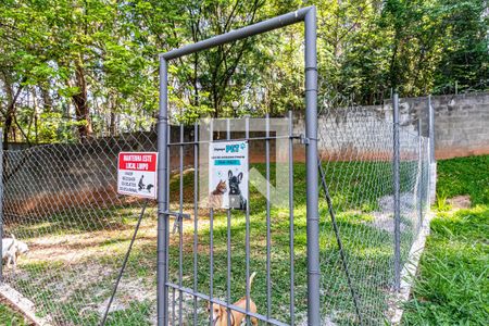 Apartamento para alugar com 60m², 2 quartos e 1 vagaÁrea comum - Espaço pet