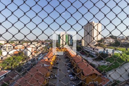 Vista Varanda da Sala de apartamento para alugar com 3 quartos, 67m² em Jardim Aricanduva, São Paulo