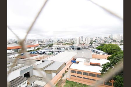 Vista da Varanda gourmet de apartamento para alugar com 3 quartos, 79m² em Vila Guilherme, São Paulo