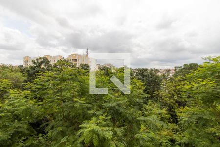 Apartamento para alugar com 57m², 3 quartos e 1 vaga Apartamento para alugar com 57m², 3 quartos e 1 vagaVista do Quarto 3