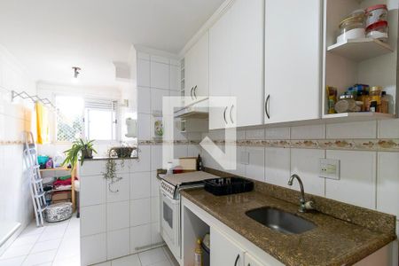 Cozinha de apartamento para alugar com 2 quartos, 65m² em Vila Nova Teixeira, Campinas