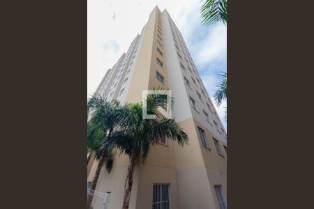 Fachada do bloco de apartamento para alugar com 1 quarto, 32m² em Itaquera, São Paulo