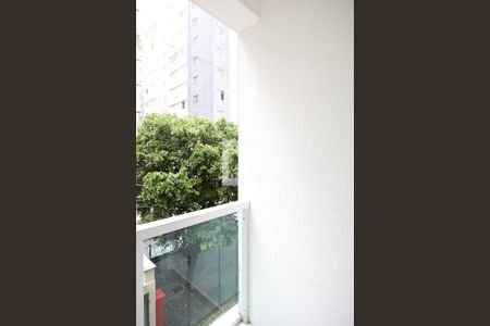 Varandas Quarto 1 de apartamento para alugar com 2 quartos, 113m² em Carmo, Belo Horizonte