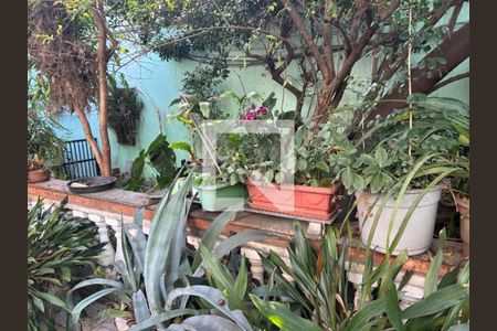 Casa à venda com 300m², 4 quartos e 4 vagasFoto 06